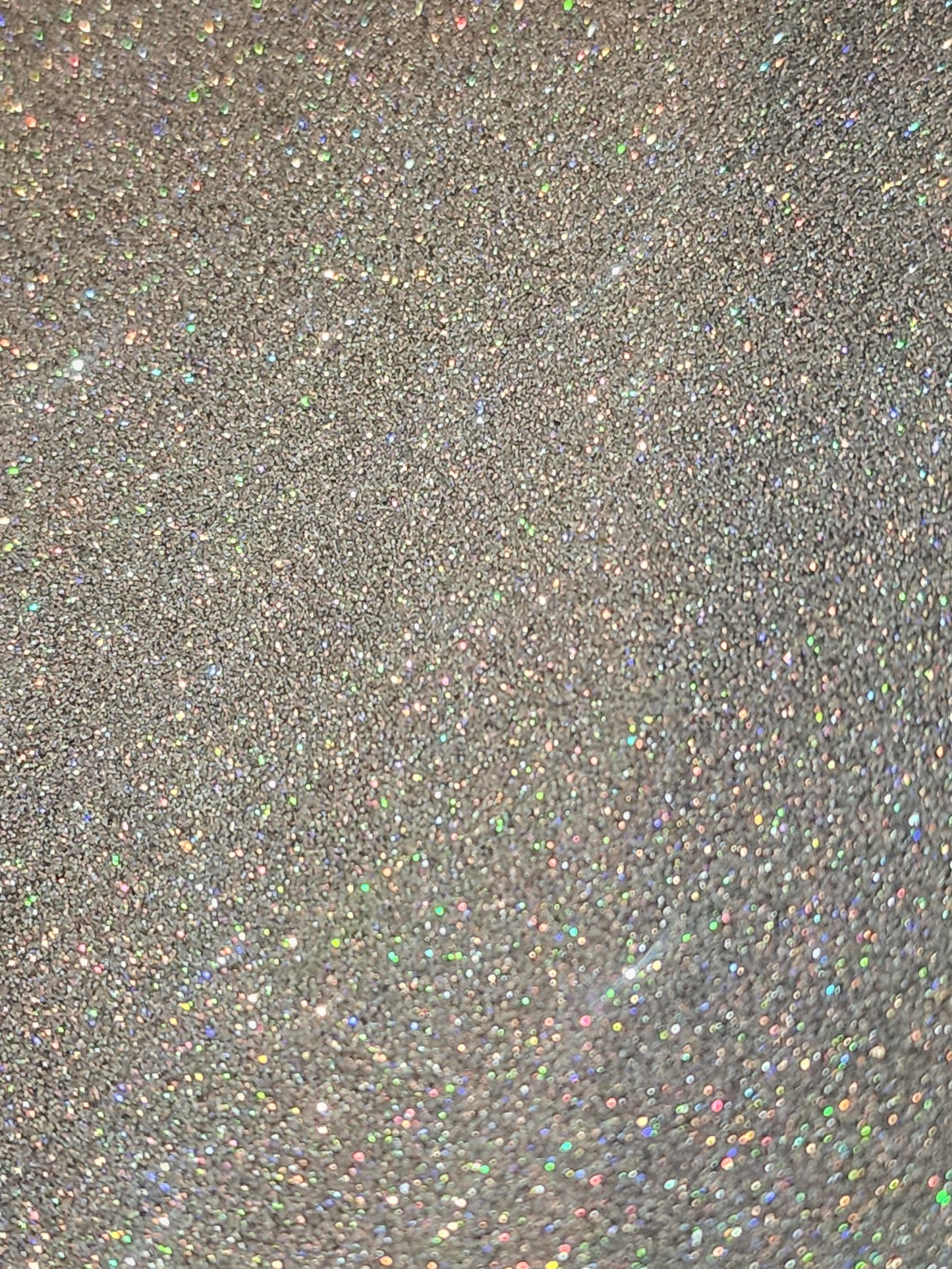 #32 Silver Holograghic fine glitter